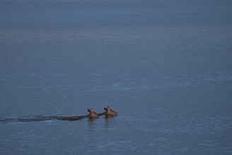 1040474