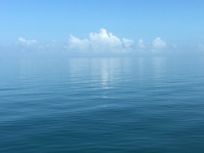 1096752