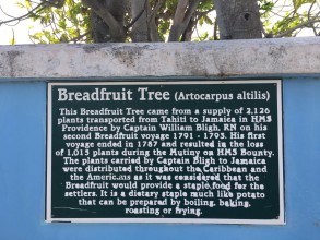 1181808