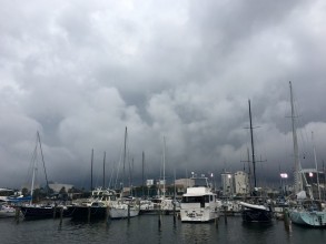 1208591