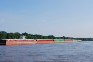 1299562
